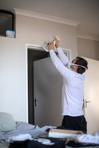 Best Air Quality Testing for Mold Spores  in Northgate, OH