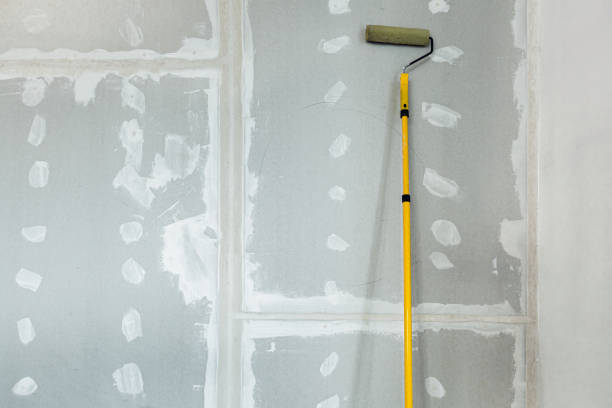 Best Mold Odor Removal Services  in Northgate, OH