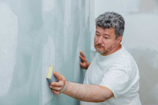 Best Emergency Mold Remediation  in Northgate, OH