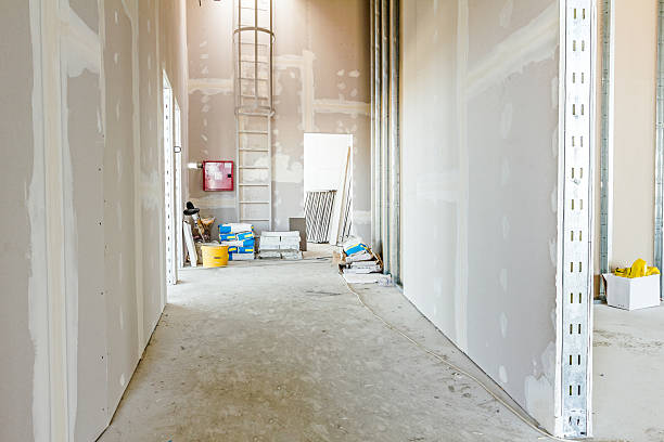 Best Commercial Mold Inspection  in Northgate, OH