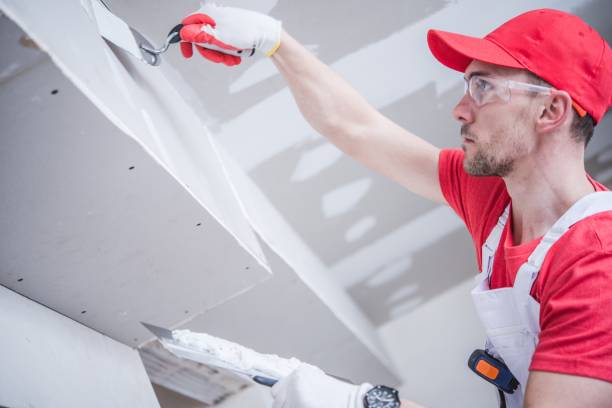 Best Mold Remediation for Vacation Homes  in Northgate, OH